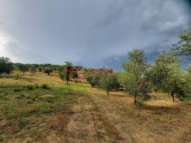 Terreno in vendita a Castiglione Della Pescaia, Toscana