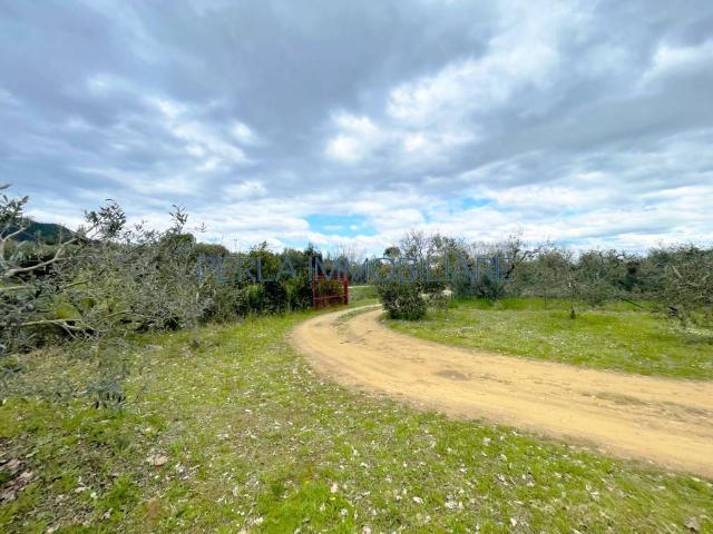 Terreno in vendita a Macchiascandona, Castiglione Della Pescaia