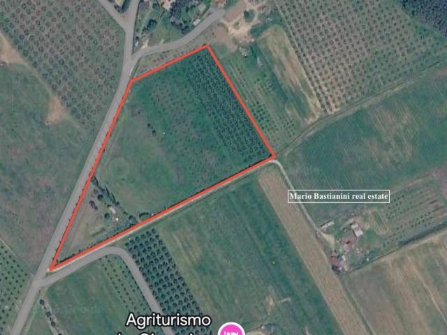 Terreno in vendita a Castiglione della Pescaia, Grosseto