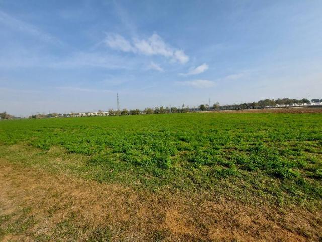 Terreno in vendita a Castiglione Delle Stiviere, Lombardia