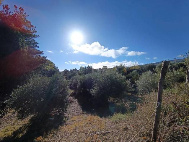 Terreno in vendita a Castiglione Di Sicilia, Sicilia