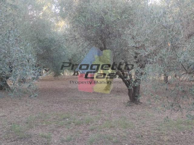 Terreno in vendita a Castiglione Di Sicilia, Sicilia