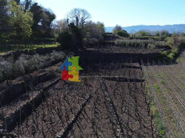 Terreno in vendita a Castiglione Di Sicilia, Sicilia