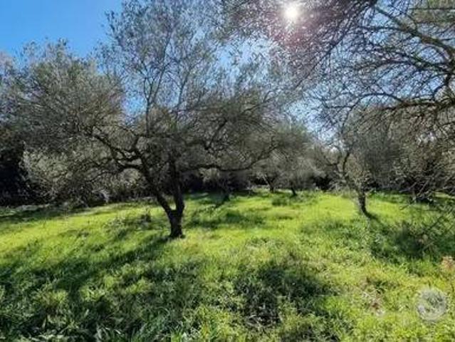 Terreno in vendita a Castiglione Di Sicilia, Sicilia