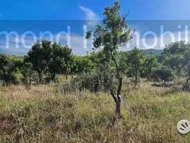 Terreno in vendita a Castiglione Di Sicilia, Sicilia