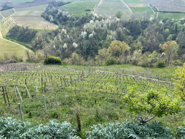 Terreno in vendita a Piemonte, Cuneo