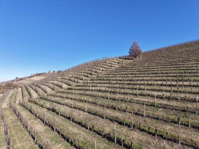 Terreno in vendita a Piemonte, Cuneo