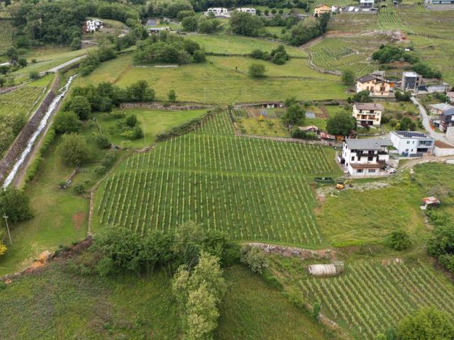 Terreno in vendita a Castione Andevenno, Lombardia