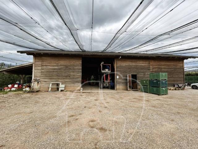 Terreno in vendita a Castions Di Strada, Friuli-Venezia Giulia