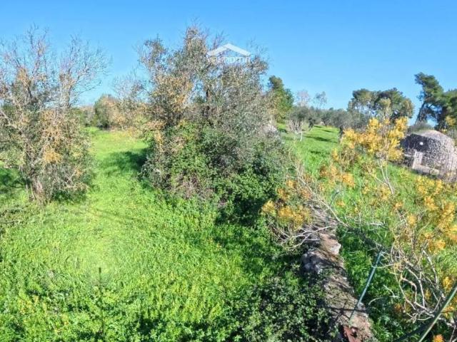 Terreno in vendita a Puglia, Lecce