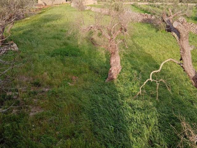 Terreno in vendita a Puglia, Lecce