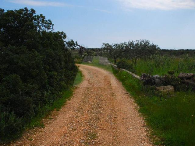 Terreno in vendita a Puglia, Lecce