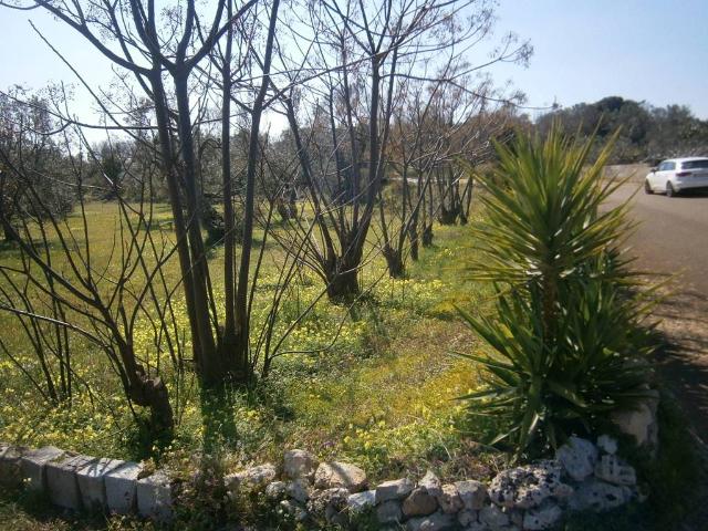 Terreno in vendita a Puglia, Lecce