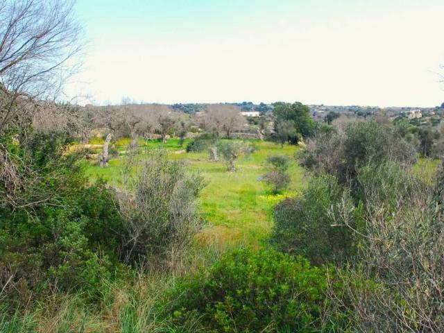Terreno in vendita a Puglia, Lecce
