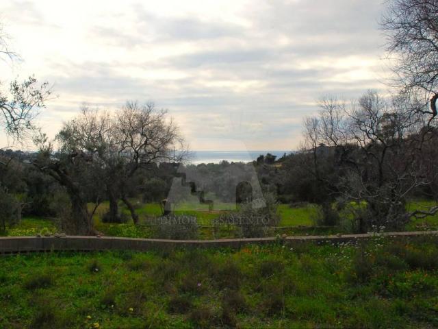 Terreno in vendita a Puglia, Lecce