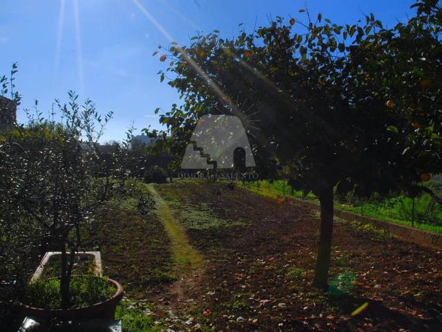 Terreno in vendita a Puglia, Lecce