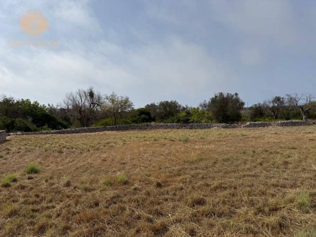 Terreno in vendita a Puglia, Lecce