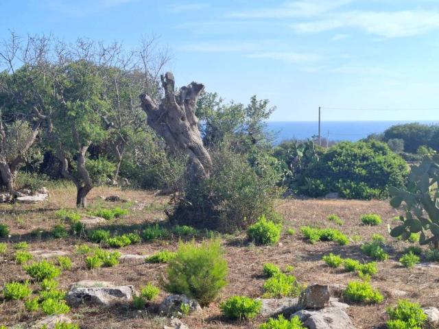 Terreno in vendita a Marina di Felloniche, Puglia
