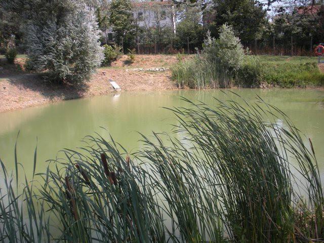 Terreno in vendita a Unione di Comuni della Romagna Forlivese, Castrocaro Terme