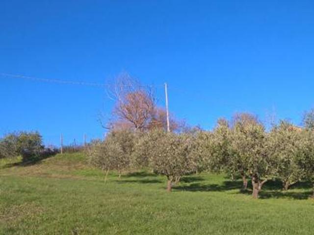 Terreno in vendita a Castrocaro Terme e Terra del Sole, Forlì-Cesena