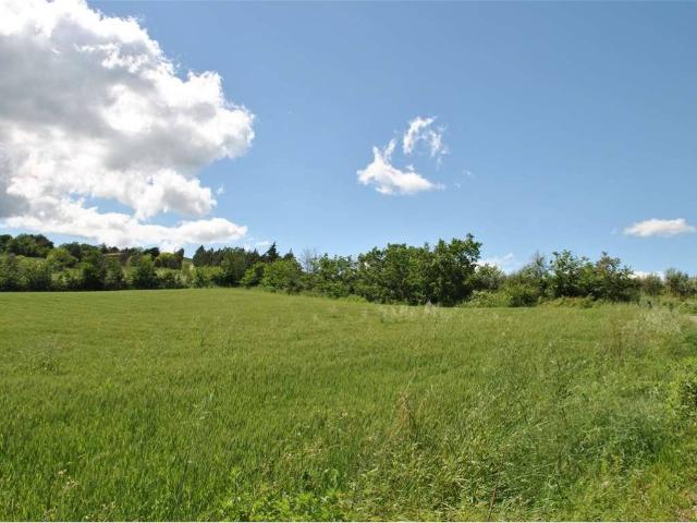 Terreno in vendita a Unione di Comuni della Romagna Forlivese, Castrocaro Terme