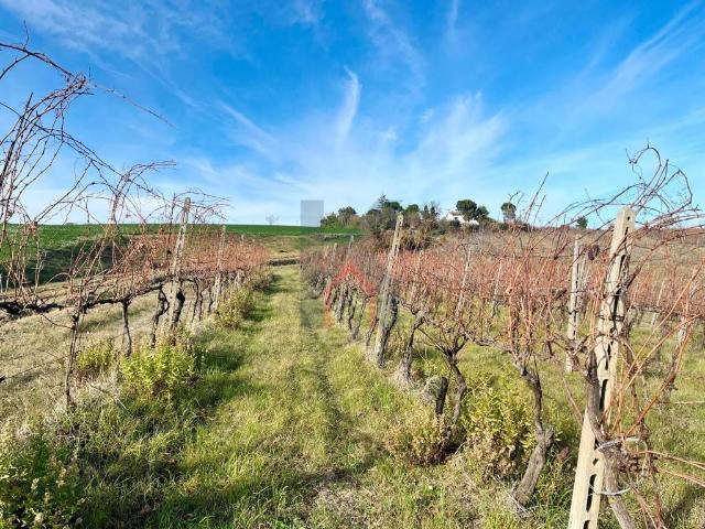 Terreno in vendita a Unione di Comuni della Romagna Forlivese, Castrocaro Terme