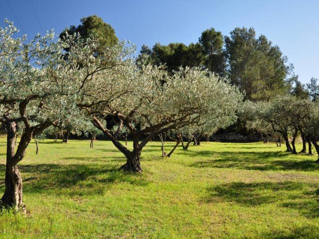 Terreno in vendita a Castrocielo, Lazio