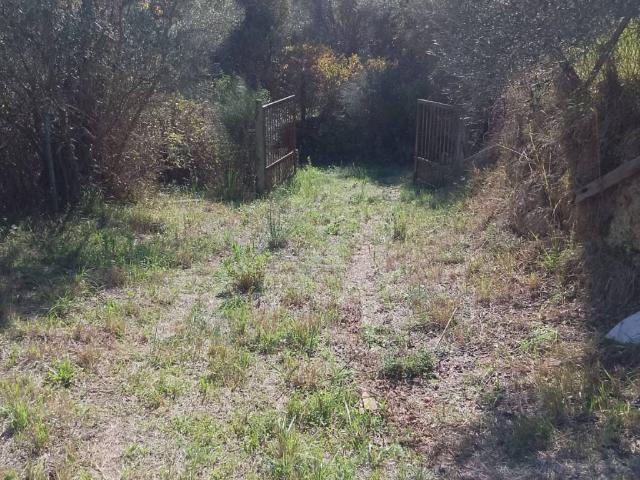 Terreno in vendita a Calabria, Cosenza