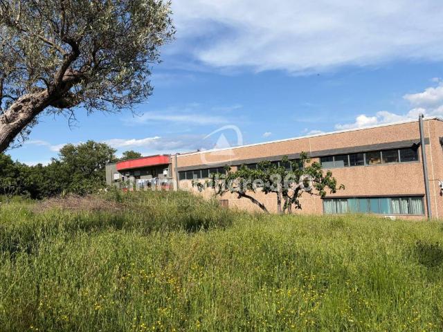 Terreno in vendita a Calabria, Cosenza