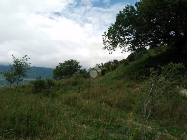 Terreno in vendita a Calabria, Cosenza