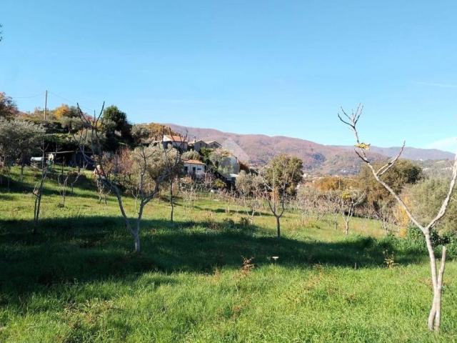Terreno in vendita a Calabria, Cosenza