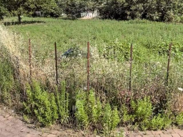 Terreno in vendita a Calabria, Cosenza