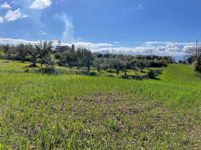 Terreno in vendita a Calabria, Cosenza