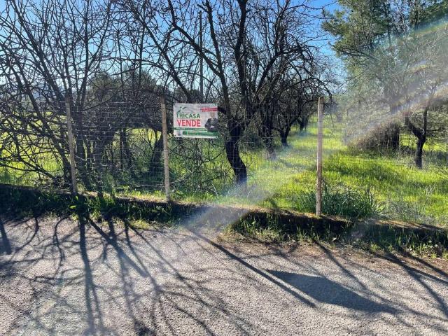 Terreno in vendita a Calabria, Cosenza
