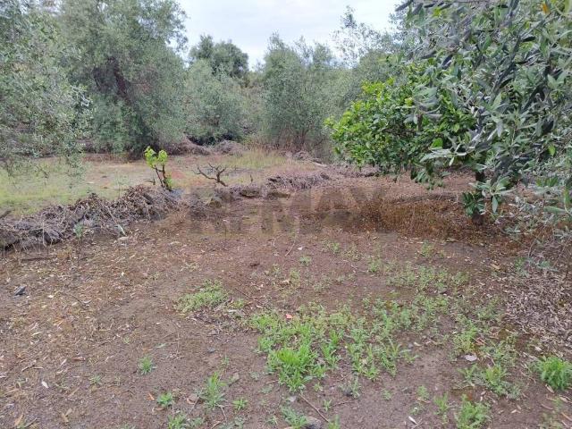 Terreno in vendita a San Giovanni Galermo-Trappeto-Cibali, Catania