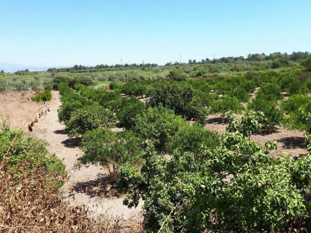 Terreno in vendita a San Giorgio-Librino-San Giuseppe la Rena-Zia Lisa-Villaggio Sant'Agata, Catania