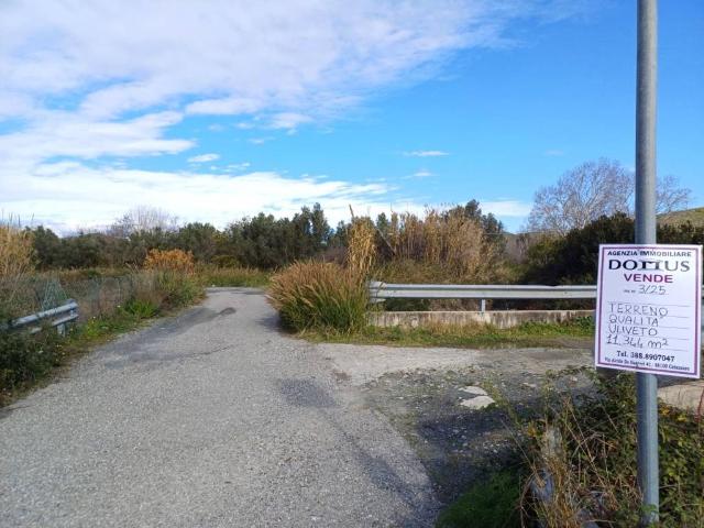 Terreno in vendita a Calabria, Catanzaro