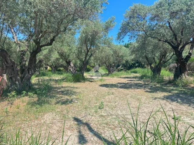 Terreno in vendita a Calabria, Catanzaro