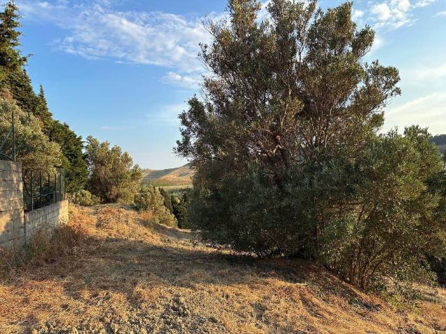 Terreno in vendita a Calabria, Catanzaro