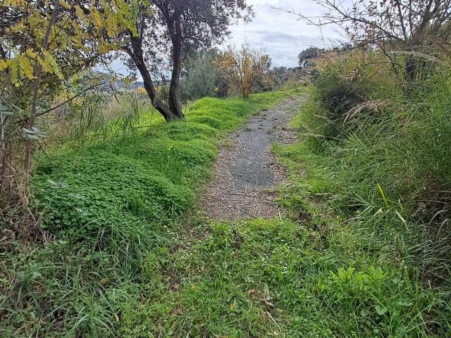 Terreno in vendita a Calabria, Catanzaro