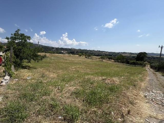 Terreno in vendita a Siano, Calabria
