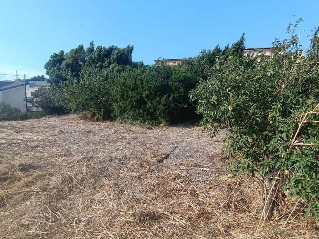 Terreno in vendita a Santa Maria, Calabria
