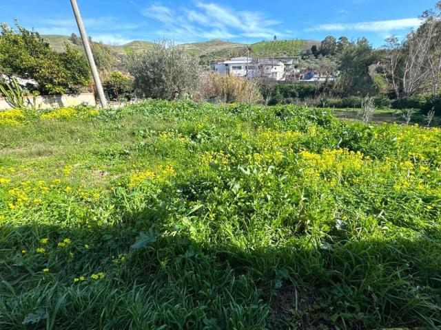 Terreno in vendita a Cuculera Nobile, Calabria
