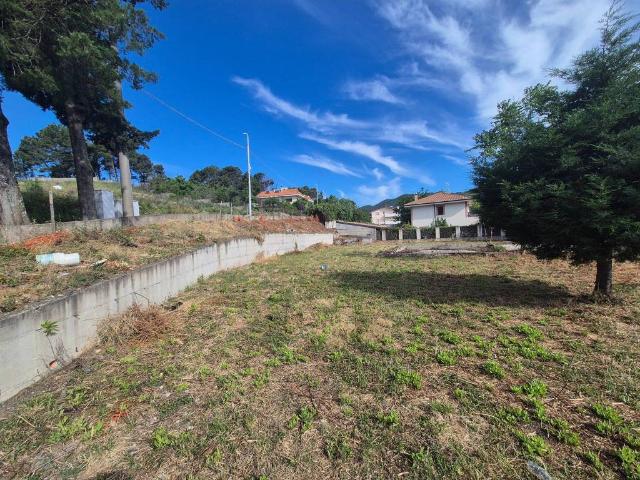Terreno in vendita a Sant'Elia, Calabria