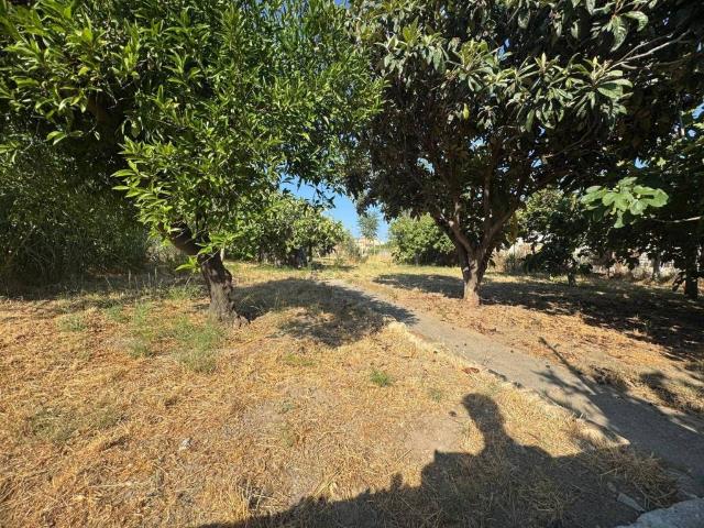 Terreno in vendita a Calabria, Catanzaro