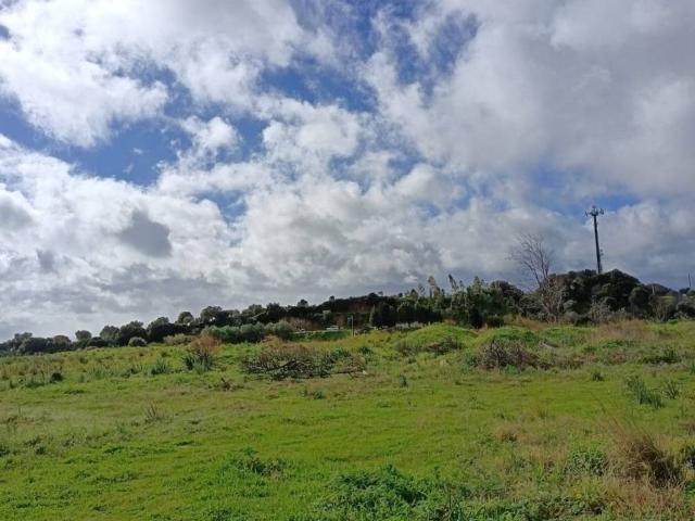 Terreno in vendita a Calabria, Catanzaro