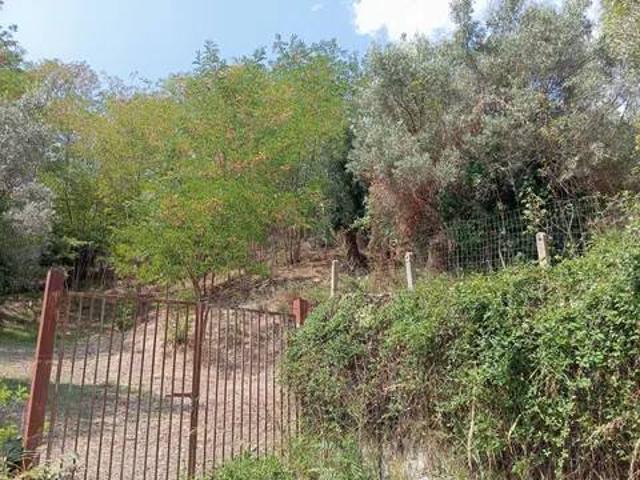 Terreno in vendita a Pontegrande, Calabria