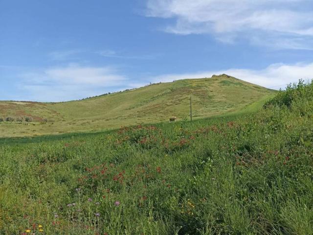 Terreno in vendita a Calabria, Catanzaro