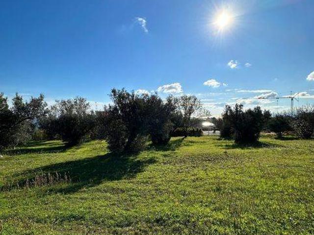 Terreno in vendita a Siano, Calabria