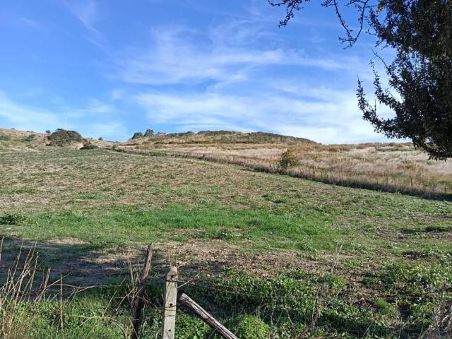 Terreno in vendita a Calabria, Catanzaro